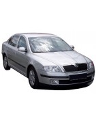 Skoda Octavia Mk 2 Performance and Tuning