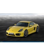 Porsche Cayman Gen 1 and 2 Performance Handling Braking and Tuning Parts